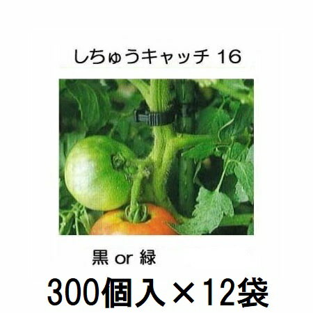 農家向け徳用パッケージ　　16mmの支柱用　　黒・緑 しちゅうキャッチ16（300個入）はこちら 11mm用、20mm用も出品しております。　　支柱径と入数 &nbsp;画像クリックで各ページへ移動します。 &nbsp; &nbsp; &nbsp; &nbsp; 　支柱や農ビパイプでの誘引に ●茎にはやさしく、支柱には強く挟むので、茎の重量でずれずにしっかり誘引します。 ●茎の成長にあわせて留め替え移動が簡単です。 　 　 しちゅうキャッチには支柱径11mm用、16mm用、20mm用があります。 　　それぞれの径にあわせてご使用ください。 関連商品はこちらです。