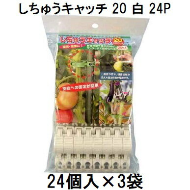 ネコポスでの発送になる為、代金引き換えは出来ません。 配達日時指定は反映されません。 (お届け先により変更になる場合がございます。) 家庭向けパッケージ　　20mmの支柱用　　白・緑 11mm用、16mm用も出品しております。 しちゅうキャッチ20　3600個入はこちらから！　　支柱径と入数 &nbsp;画像クリックで各ページへ移動します。 &nbsp; &nbsp; &nbsp; &nbsp; 　支柱や農ビパイプでの誘引に ●茎にはやさしく、支柱には強く挟むので、茎の重量でずれずにしっかり誘引します。 ●茎の成長にあわせて留め替え移動が簡単です。 　 　 しちゅうキャッチには支柱径11mm用、16mm用、20mm用があります。 　　それぞれの径にあわせてご使用ください。 関連商品はこちらです。