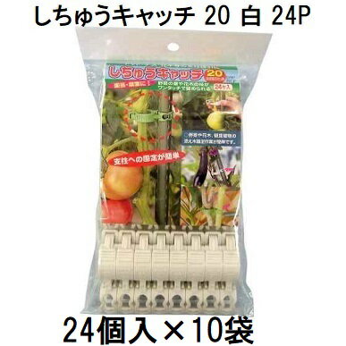 北海道、沖縄、離島へは送料見積りになりますのでご了承ください。 家庭向けパッケージ　　20mmの支柱用　　白・緑 11mm用、16mm用も出品しております。 しちゅうキャッチ20　3600個入はこちらから！　　支柱径と入数 &nbsp;画像クリックで各ページへ移動します。 &nbsp; &nbsp; &nbsp; &nbsp; 　支柱や農ビパイプでの誘引に ●茎にはやさしく、支柱には強く挟むので、茎の重量でずれずにしっかり誘引します。 ●茎の成長にあわせて留め替え移動が簡単です。 　 　 しちゅうキャッチには支柱径11mm用、16mm用、20mm用があります。 　　それぞれの径にあわせてご使用ください。 関連商品はこちらです。