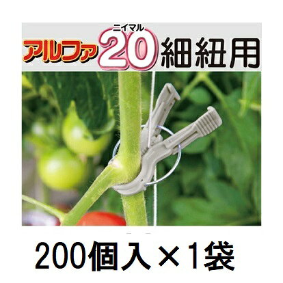 a20.jpg