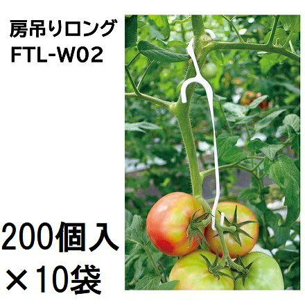 果房の茎折れを低減し生産性向上に貢献します。早い段階から果房軸に簡単に取り付けることが出来、生長時の果房の重量による茎折れや裂けを低減します。 JANコード/ISBNコード：4540427001342 メーカー直送のため代金引換決済はできません。他の支払い方法でお願いいたします。果房軸を吊り上げ、折れや裂けを低減 &nbsp; &nbsp; &nbsp; 関連商品&nbsp; ●生長部と誘引ひもをいっしょに保持すると、ひもに沿って伸びるので次の誘引作業まで間をもたすことが できます。　 誘引紐吊り下げ用トップフックで移動と固定が簡単です。 クキタッチ誘引紐 耐久年数5年以上で、繰り返し使用できます。 お求めはこちらへお進みください。 誘引紐吊り下げ用トップフック 誘引する位置へ移動し固定するのが簡単です。 トマトの長段取りに最適。 お求めはこちらへお進みください。 　使用例 ●苗の倒れ防止から生長部の保持まで使用できます。 くきたっちとの組み合わせで誘引作業が簡単に行え ます。 　 福岡県吉井町 ●生長部と誘引紐をいっしょに保持すると、 紐に沿って伸びるため 茎が倒れず次の誘引 作業まで間を持たすことができます。 　 福岡県吉井町