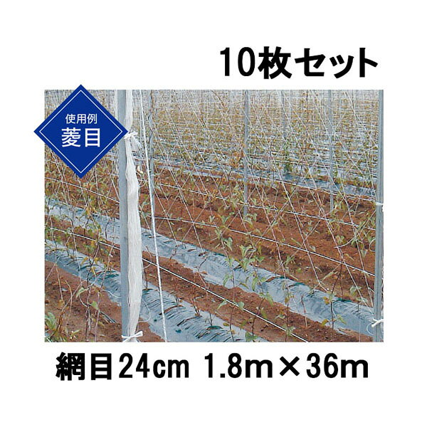 (10枚セット) 東京戸張 ながいもネット 網目24cm 1.8m×36m NB1836 白緑 長芋ネット