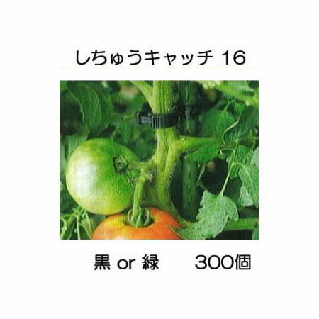 300個入 誘引資材 しちゅうキャッチ 16 黒or緑 色選択 支柱径16mm用 シーム S16B-300 S16G-300