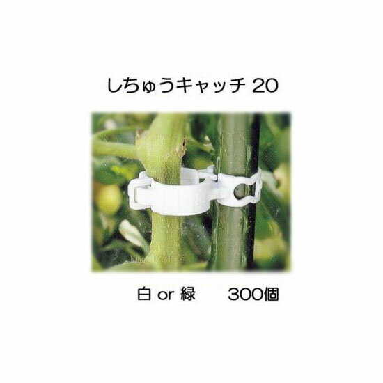 (300個入) 誘引資材 しちゅうキャッチ 20 (白or緑 色選択) 支柱径20mm用 シーム S20W-300 S20G-300