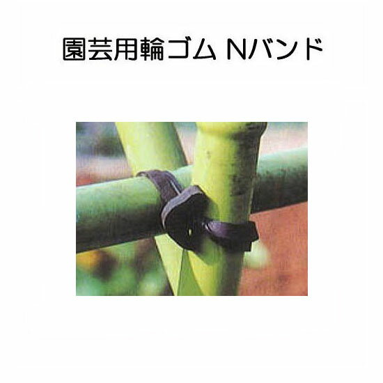 園芸用万能ゴム Nバンド 1kg入 N255 N205 N185 N165 N145 (サイズ選択)　(N185 zs)