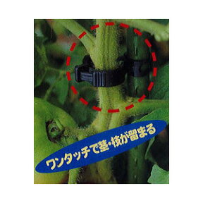 (24個入) 誘引資材 しちゅうキャッチ 16 (黒or緑 色選択) 支柱径16mm用 シーム S16B-24 S16G-24 z