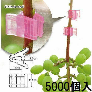 【色をお選びください】 (ケース特価 5000個入) ジベマーカー レッド、クリアー、ブルー、パープル、オ..