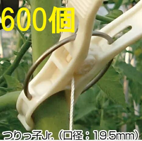 (600個入特価) ハウス栽培用 誘引具 つりっ子Jr. (100個入×6袋) 口径:19.5mm つりっ子ジュニア (つりっ..