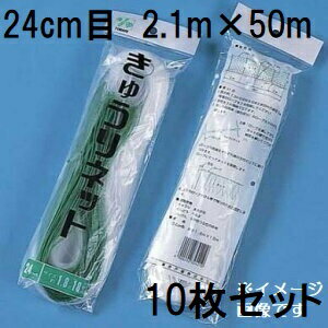 (徳用10枚セット) 東京戸張 キュウリネット 網目24cm×巾2.1m×長さ50m WB2150 白緑 きゅうりネット キューリネット キュウリ等のつる性植物の誘引に 緑のカーテン