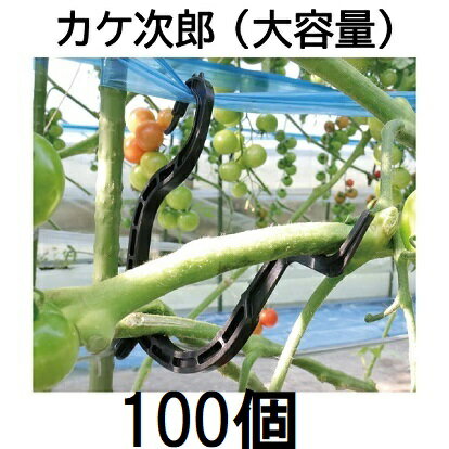(50個入×2袋) トマト誘引資材 たっぷり カケ次郎 大容量 シーム KJR-50 (100個)［誘引具 カンタン 瀧商..