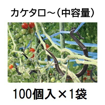 (100個入) 誘引資材 カケタロー トマト ミニトマト TAR-800 シーム カケタロ～ (中容量) [誘引具 園芸用品 農機具 瀧商店]