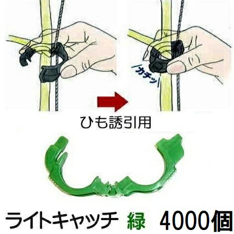 (ケース特価 4000個入) NEW ひも誘引用クリップ ライトキャッチ 緑色 シーム LC-G400 (黒色もあります)..