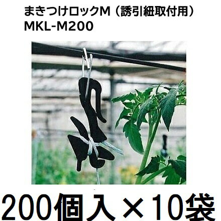 メーカー直送品のため代引決済はできません。 まきつけロックM（金具付き） MKL-M200 サイズ：4.5cm×11.4cm×1.5cm 材質 本体：耐候性ポリプロピレン 材質 スチール部：2.0SW60C・ユニクロメッキ 材質 プラスチック部：耐候性ポリプロピレン 誘引線ロック対応径：3.0〜5.0ミリ（スチールフック部） 誘引線ロック耐荷重：6kg（スチールフック部） 誘引線対応径：6ミリ迄（プラスチックフック部） 引っ張り耐荷重：8kg（プラスチックフック部） ●紐を結ばず誘引紐の取付け・取外しが簡単にできます。 ●高い位置への誘引線にも簡単に取り付けられます。まきつけフックと　トップフックが付いた　まきつけロック 　　　　　トップフックについて詳しくは　ここから　ご覧ください 品名 まきつけフック まきつけロックM まきつけロックS サイズ 4.5×8.4×1.5cm 4.5×11.4×1.5cm 4.5×10.4×1.5cm 誘引線対応径 6mm ロック対応径 なし 3.0〜5mm 1.5〜3.0mm 引っ張り耐荷重 8kg フック材質 耐候性ポリプロピレン 下線がついた品名をクリックすると それぞれのページへリンクします 　　　使用例 くきたっち誘引ひも 種類 紐直径 誘引適応野菜 6本合糸2号 06mm ピーマン、なす等の多仕立用 7号 1.2mm ピーマン、なす、キューリ用 10号 1.5mm トマト、果菜類用 15号 1.8mm トマト、果菜類用 20号 2.2mm トマト、果菜類用 6本合糸2号は ここから、 7号〜20号は ここから お求めください。