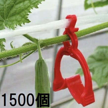 (徳用1500個入) きゅうり棚線クリップ さやか ナスニックス［キュウリクリップ 誘引資材 誘引具 園芸用..
