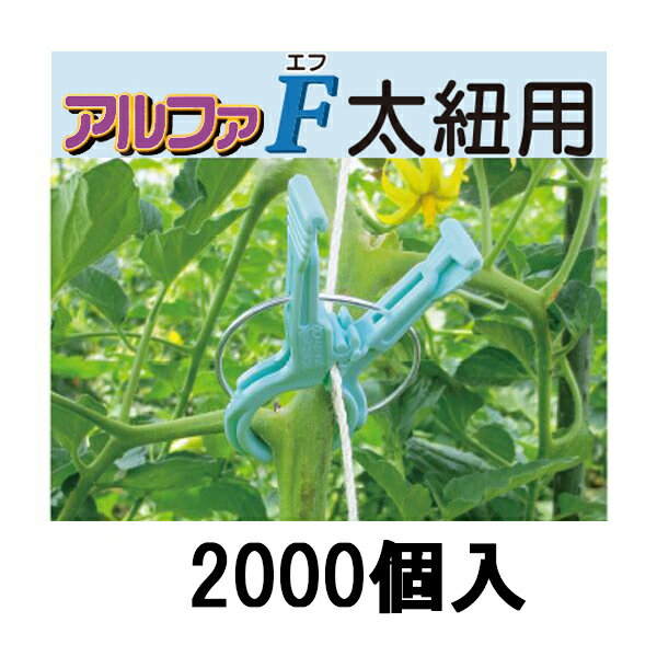 楽天市場】くきたっち アルファfの通販 楽天市場】くきたっち アルファfの通販