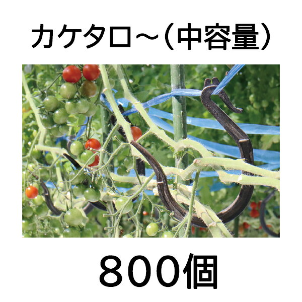 (800個入) 誘引資材 カケタロー (100個入×8袋) TAR-800 シーム カケタロ〜 トマト ミニトマト [誘引具 園芸用品 農機具 瀧商店]