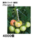 (4000個) シーム 誘引資材 房吊りフック (紐用) (200ヶ入x20袋) FTH-W02