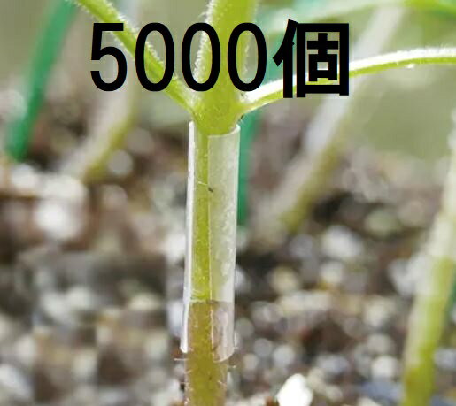 (徳用5000個入) 接木ホルダー スーパーフィット 15号 (1000個入×5袋) 内径1.5mm ナスニックス