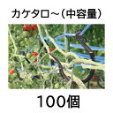 takisyo:10001914のサンプル画像1