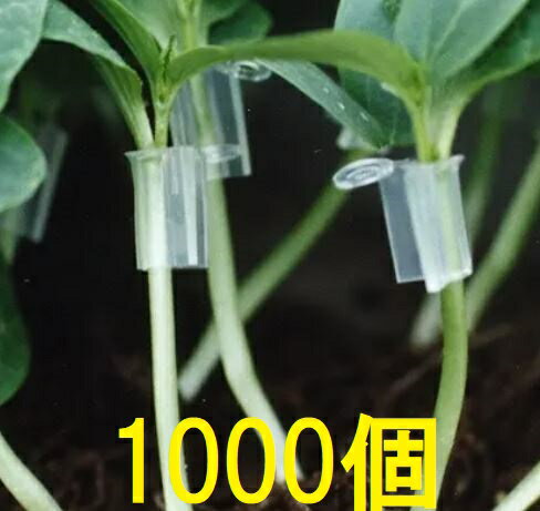 (1000個入) 接木ホルダー スーパーアイドル ナスニックス ※26号、31号からお選びください
