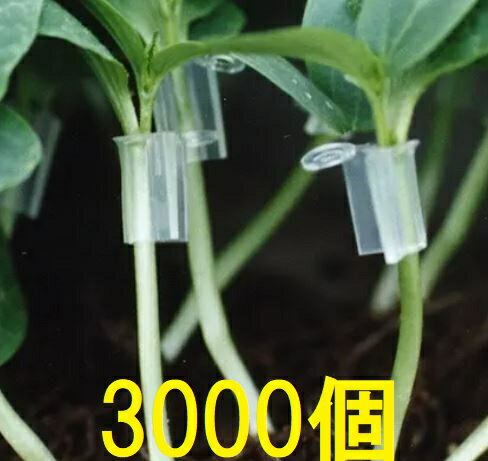 (徳用3000個入) 接木ホルダー スーパーアイドル ナスニックス ※26号、31号からお選びください