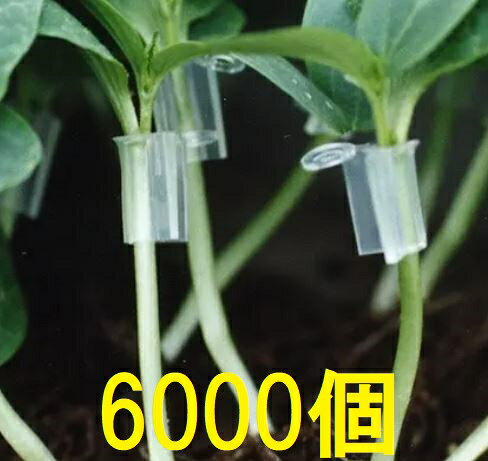 (6000個入特価) 接木ホルダー スーパーアイドル (1000個入×6袋) ※26号、31号からお選びください ナスニ..
