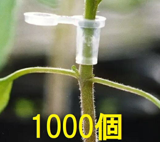 (1000個入) 接木ホルダー スーパーウィズ ナスニックス※14号、17号、20号、23号からお選びください(4.0)