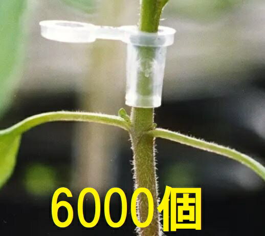 (6000個入特価) 接木ホルダー スーパーウィズ 1000個入×6袋 ナスニックス※14号、17号、20号、23号から..