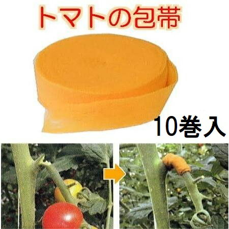 10巻セット トマトの包帯 オレンジ 25mm幅 5m 手でちぎる 伸縮性 ピッタリ固定 クラレトレーディング ゆうパケット zmN5 