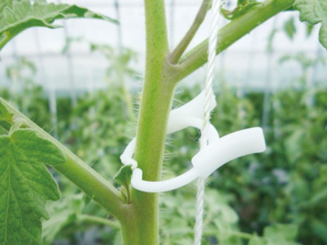 (1000個入) 誘引資材 つりっ子 トップリング ナスニックス ［ハウス栽培誘引専用 誘引具 園芸用品 農機具 瀧商店］