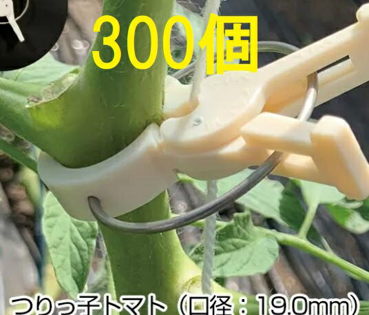 (300個入) ハウス栽培用 誘引具 つりっ子 トマト用 口径:19mm ナスニックス