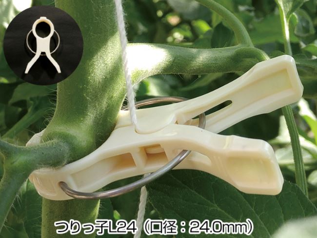 瀧商店の(100個入) ハウス栽培用 誘引具 つりっ子 L24 口径:24.0mm ナスニックス (レギュラー/ハード 選択)｜アングル2