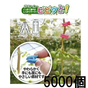 樂天商城 - (色をお選びください) (ケース特価 5000個入) ジベマーカー ビビッと (500個入×10袋) ピンク、イエロー、ブルー、パープル、オレンジ ジベレリン処理などの目印に シーム