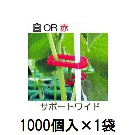 Rakuten - (1000個入×1袋) 苗の倒れ防止用保持具 サポートワイド (白or赤 色選択) (1000個) SPW-W10 SPW-R10 シーム