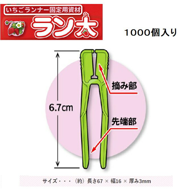 (色をお選びください) ラン太 10000個入(1ケース) 白 赤 緑 橙 桃 いちごランナー固定用資材