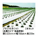 (2本セット) トーカン ブラック＆ホワイト (白黒タイプ 地温抑制) (厚0.025mm×幅150cm×長200m) 白黒マルチ 東罐興産 (法人/運送会社営業所止め 選択)