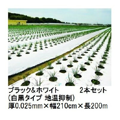 (2本セット) トーカン ブラック＆ホワイト (白黒タイプ 地温抑制) (厚0.025mm×幅210cm×長200m) 白黒マルチ 東罐興産 (法人/運送会社営業所止め 選択)