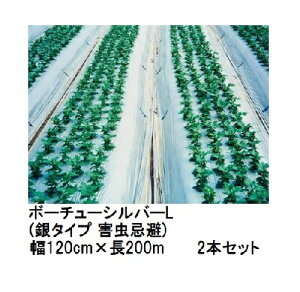 (2本セット) トーカン ボーチューシルバーL (銀タイプ 害虫忌避) (厚0.023mm×幅120cm×長200m) シルバーマルチ 東罐興産 (法人/運送会社営業所止め 選択)