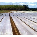 (九州の法人限定 送料無料) 農業用べたがけ資材 パオパオ90 210cm×200m 2.1×200m 透光率90% MKVアドバンス
