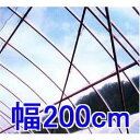 Jbg̔ hzH _POtB C[X^[ 0.1mm 200cm30m d5.7kg MKVAhoX