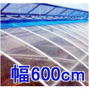 Jbg̔ hzH _POtB C[X^[ 0.1mm 600cm 30m d17.1kg MKVAhoX