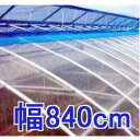 Jbg̔ hzH _POtB C[X^[ 0.1mm 840cm30m d23.9kg MKVAhoX