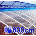 (39mカット,数量限定) 塗布無滴 農POフィルム イースター 厚み0.075mm 幅600cm 長さ39m MKVアドバンス 在庫有り