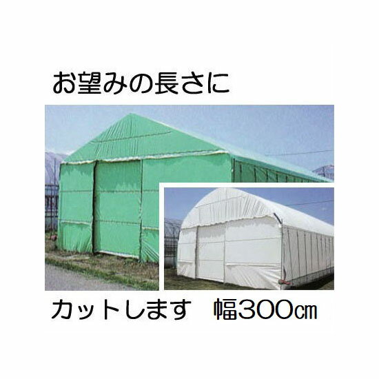 農業用遮光シートで 農作物の生産性 品質アップを 農業 ガーデニング 園芸 家庭菜園マガジン Agri Pick