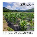(徳用2本セット) 生分解性マルチフィルム キエ丸 黒 0.018mm×150cm×200m 消えるマルチ (きえ丸 きえまる キエマル)(4)