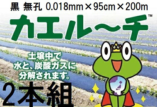 楽天市場】カエルーチ 95の通販