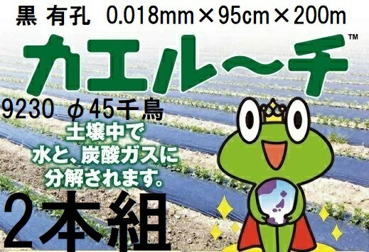 楽天市場】カエルーチ 95の通販