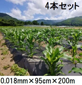 (4巻セット特価) 生分解性マルチフィルム キエ丸 黒 0.018mm×95cm×200m 消えるマルチ　zs ［きえ丸 きえまる キエマル］