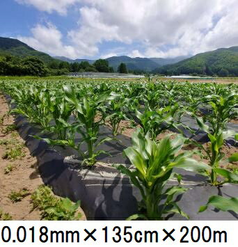 生分解性マルチフィルム キエ丸 黒 0.018mm×135cm×200m 消えるマルチ　zs ［消え