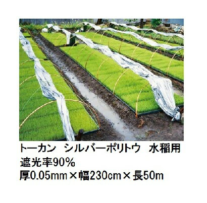 乐天商城 - (2巻セット) トーカン シルバーポリトウ 水稲用 ＃90 遮光率90％ (厚0.05mm×幅230cm×長50m) (原反巻姿 ダブル巻き) 東罐興産 (法人/運送会社営業所止め 選択)